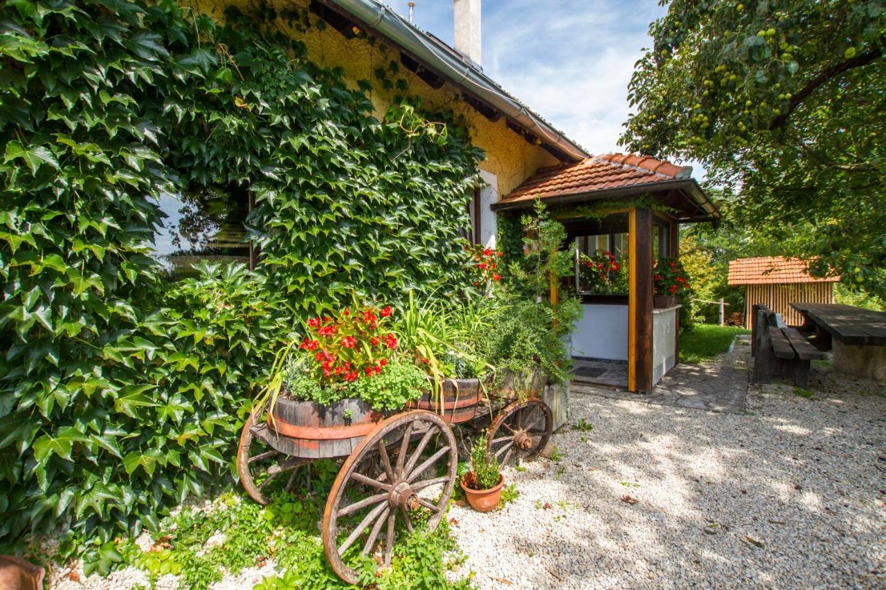 Holiday Home Juricko With Private Sauna Bizeljsko Exteriör bild